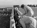 Veterinary technicians testing cattle