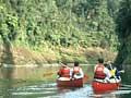 Canoes on the Whanganui River