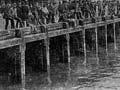 1890 maritime strike