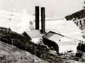 Picton freezing works, 1902