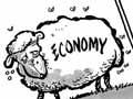 Shepherding the economy