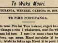 Ko Te Pire Pōtitanga (Electorate Bill), 1878