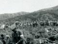 Gallipoli armistice 