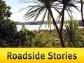 Roadside Stories: Lake Papaitonga
