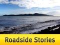 Roadside Stories: Kāpiti Island – warriors, whales and wildlife