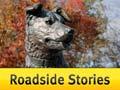 Roadside Stories: Huntaway in Hunterville