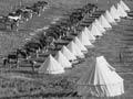 Territorial camp, Hawke's Bay, 1912