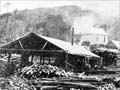 The sawmill at Kaipipi Bay, 1909