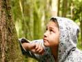 Moriori tree carvings