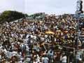 Huge crowd, Eden Park, 1982