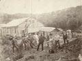 German expedition on Auckland Island