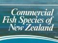 New Zealand fish species poster, 1977