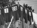 Rugby jerseys on the washing line, Wellington, 1930s