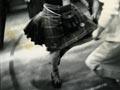 Scottish dancing