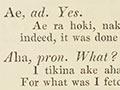 William Williams's Māori dictionary, 1844