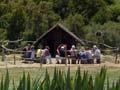 Pā Harakeke Eco-Cultural Centre