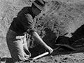 Training dig at the 1959 NZAA conference