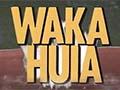 Waka huia, 1987