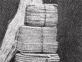 Flax rope display at the New Zealand International Exhibition, 1906–7