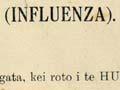 An influenza warning