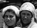 Sheep farm workers