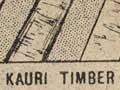 Kauri Timber Company catalogue