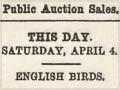 Bird auction advertisement