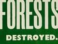 ‘Save your forests’