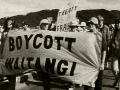 Anti-racism and Treaty of Waitangi activism