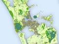 Auckland vegetation