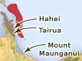 Moa and seal sites