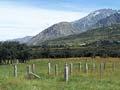 Sheep yards 