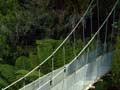 Swing bridge, Abel Tasman National Park