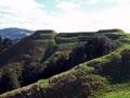 Papamoa Hills Regional Park