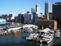 Auckland commuter ferries