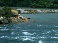 Tidal changes, Whanganui Inlet 