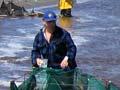 Whitebaiting, Waikanae