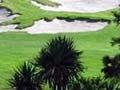White sand bunkers