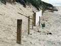 Restoring sand dunes 
