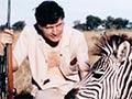A photograph showing Colin Murdoch, holding a rifle, and another man, squatting outdoors beside a tranquillised zebra