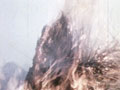 Tussock-burning, 1959