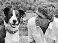 Murray Ball seated on a grassy bank beside a black and white border collie dog.