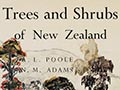 Trees and shrubs of New Zealand