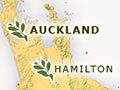 New Zealand herbaria