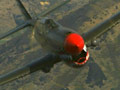 Warbirds over Wanaka