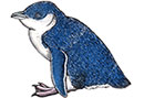 Little penguin