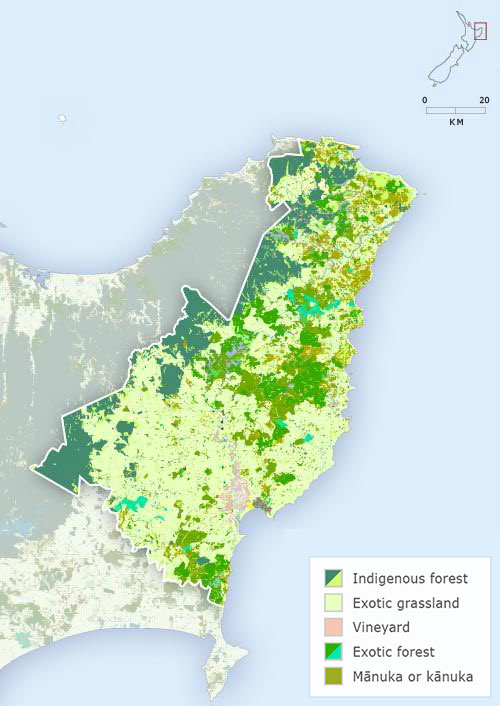 Vegetation
