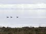Te Waihora/Lake Ellesmere