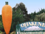 Ōhakune