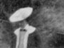 Porirua, (Wellington, 1887)